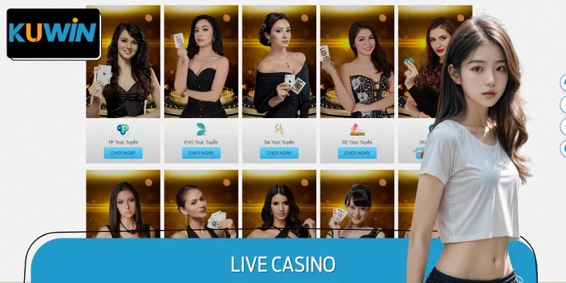 Live Casino tại KUWIN tái hiện một không gian cá cược chuyên nghiệp