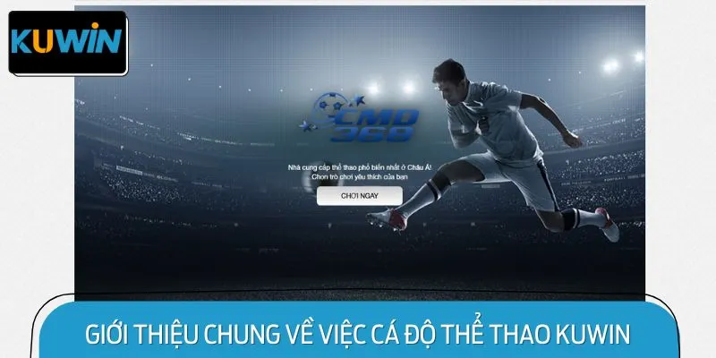 Giới thiệu chung về việc cá độ Thể thao KUWIN